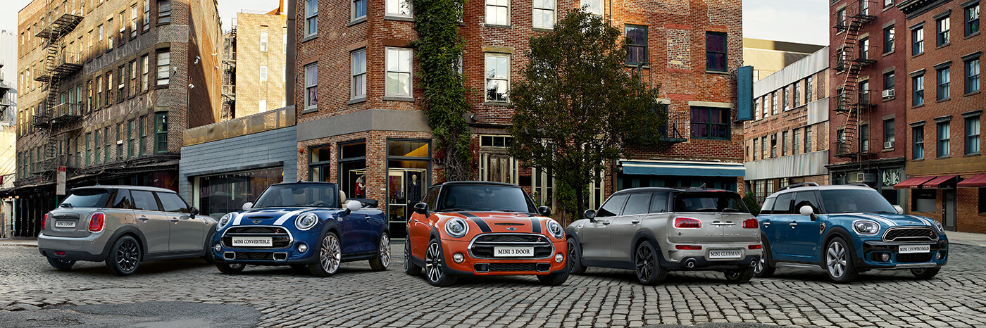 Mini Georgian Official Home Page Mini Georgian